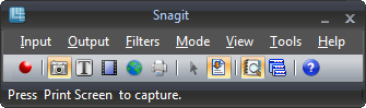 Snagit Screenshot of Compact View