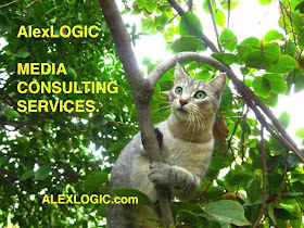 ALEX LOGIC MEDIA CONSULTING SERVICES TO THE RESCUE.