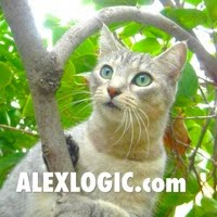 Check out Alex's Consulting Blog.