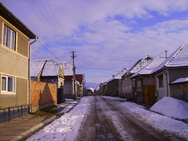 Stradă din oraşul Avrig Judeţul Sibiu