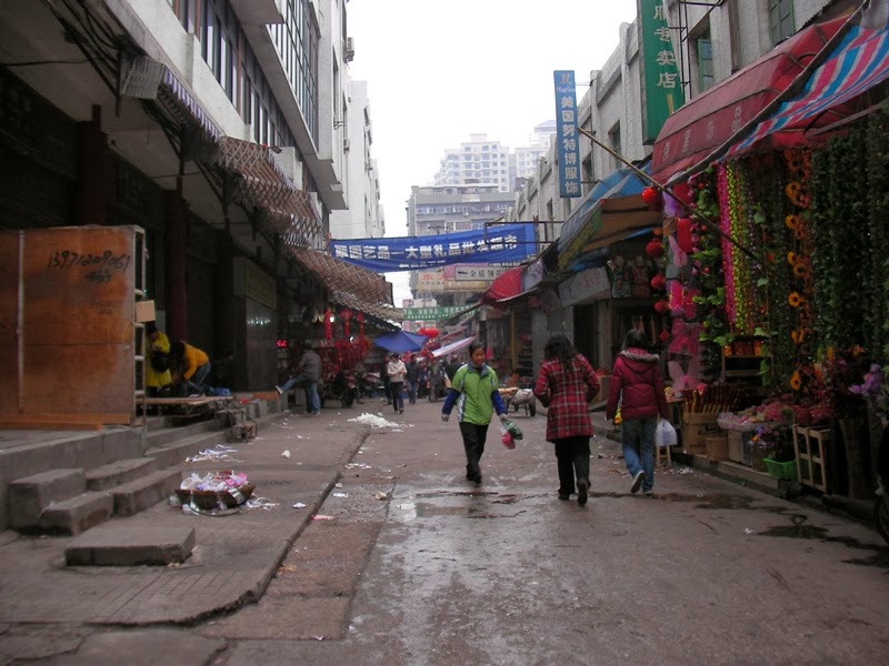 [SANY0105.JPG]