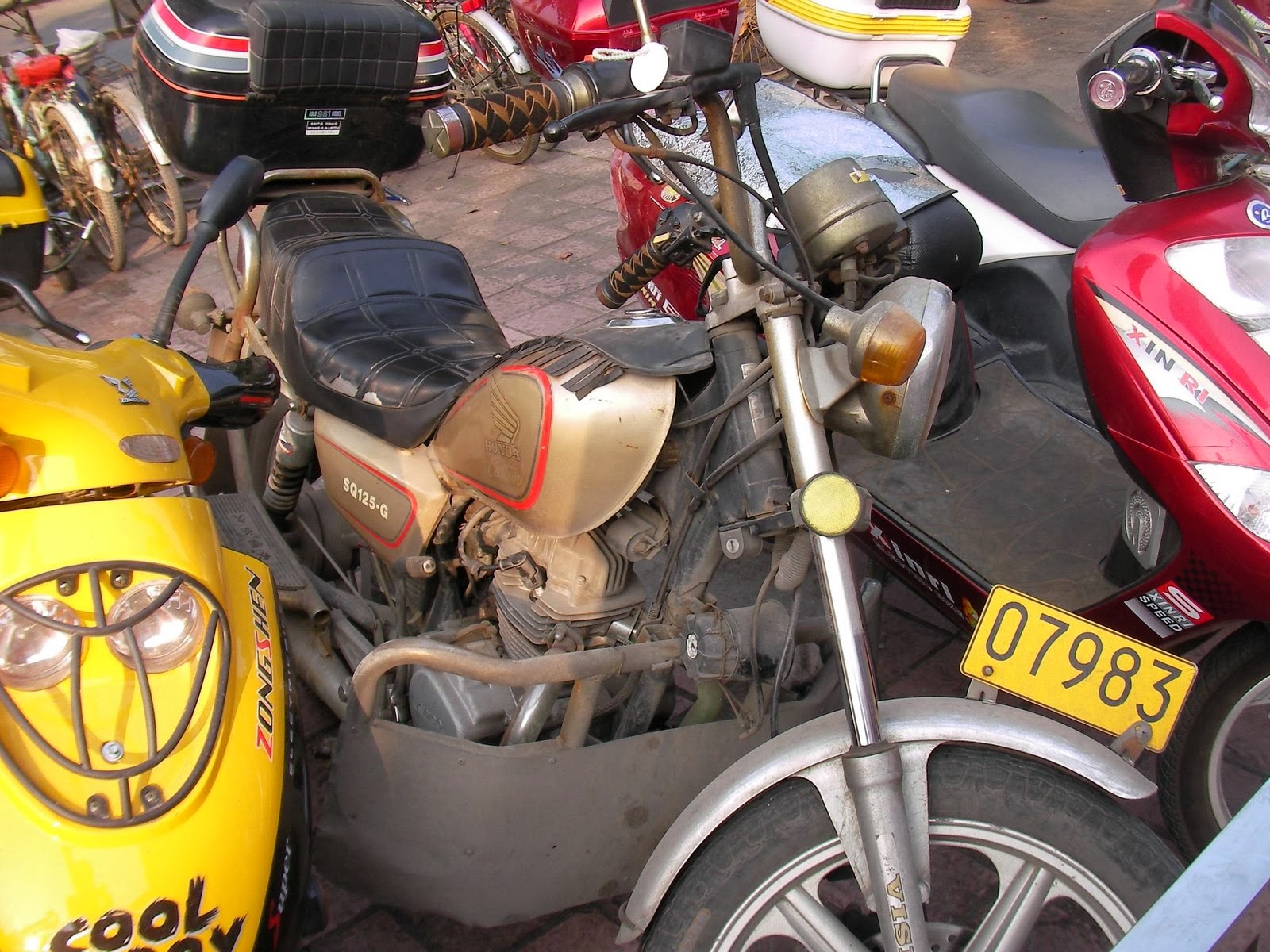 [SANY0064.JPG]