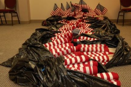 [trashed+flags1.jpg]