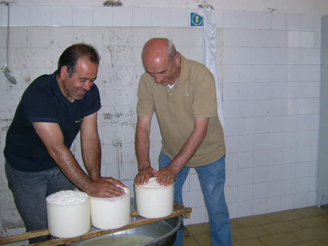 lavorazione del formaggio
