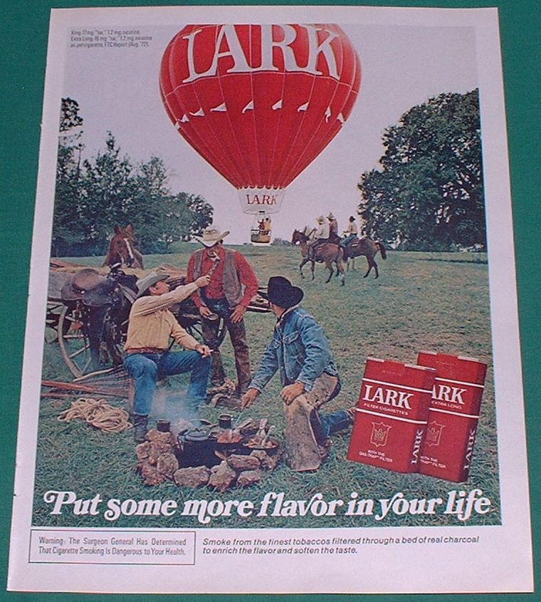 [Lark+Cigarette+Ad+1972+cookout.jpg]