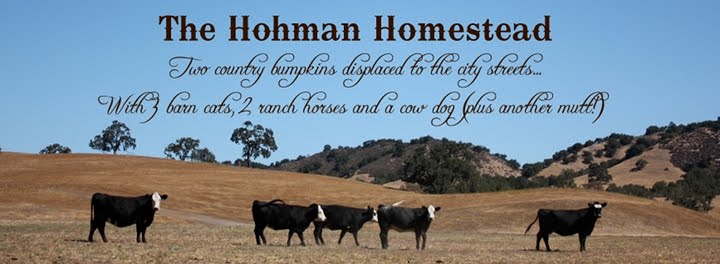 The Hohman Homestead