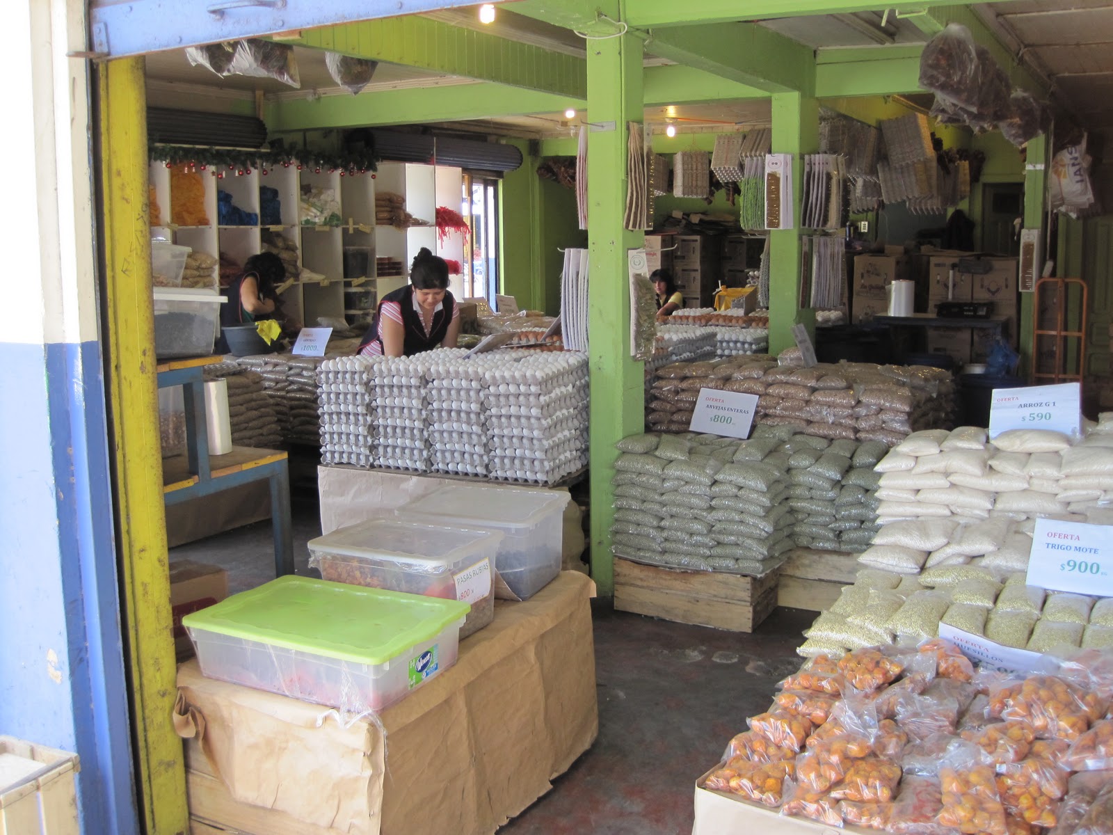 Tier Aus Einem Fernen Land