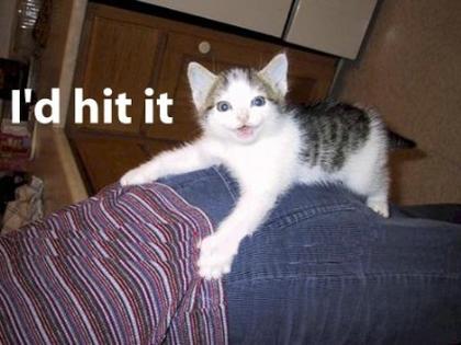 France2010_River02_800pix