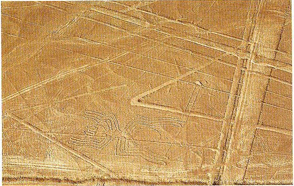 [nasca001.jpg]