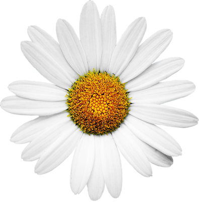 These are great for photo collages.i will keep adding as time permits