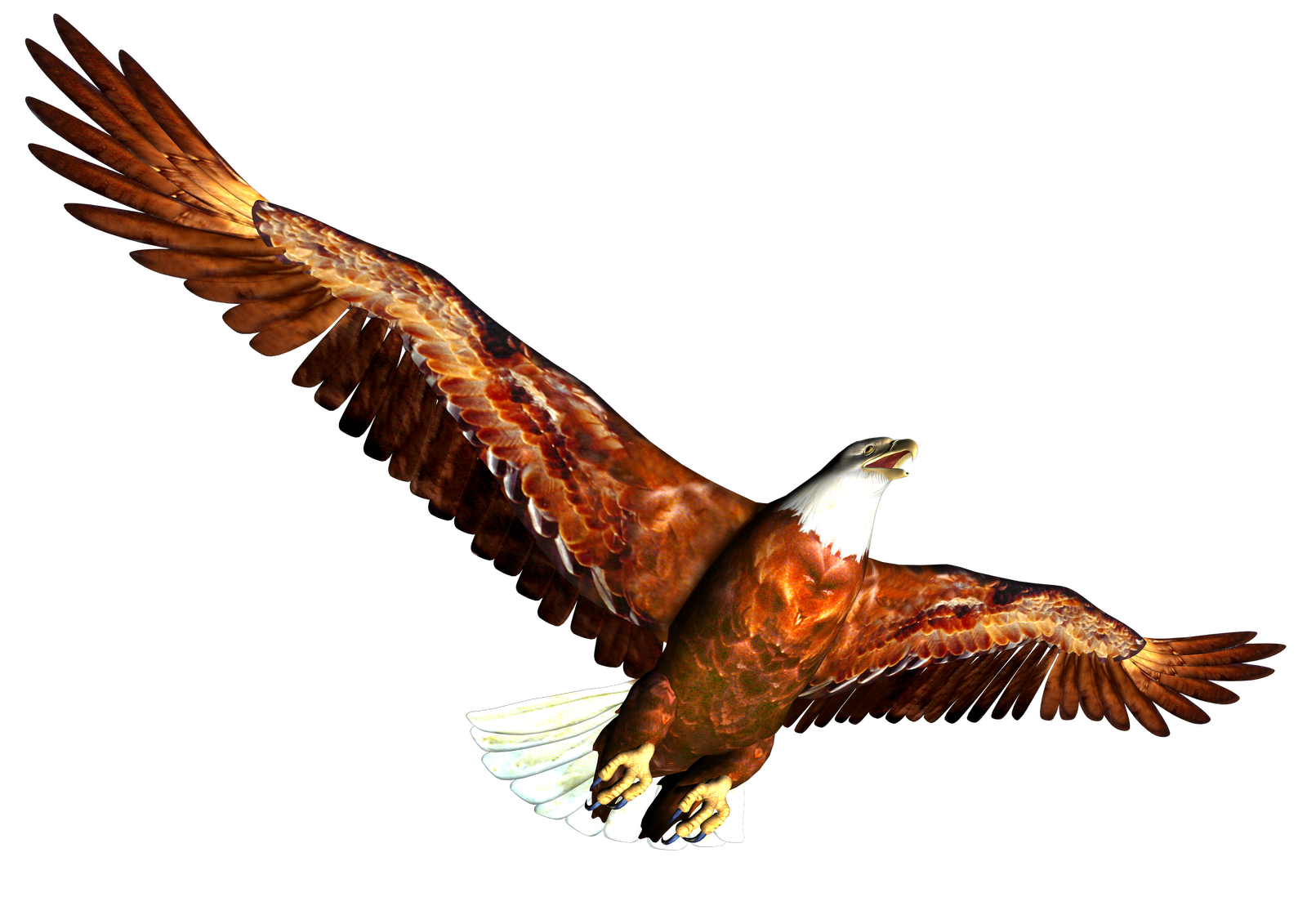eagle clip art high resolution - photo #15