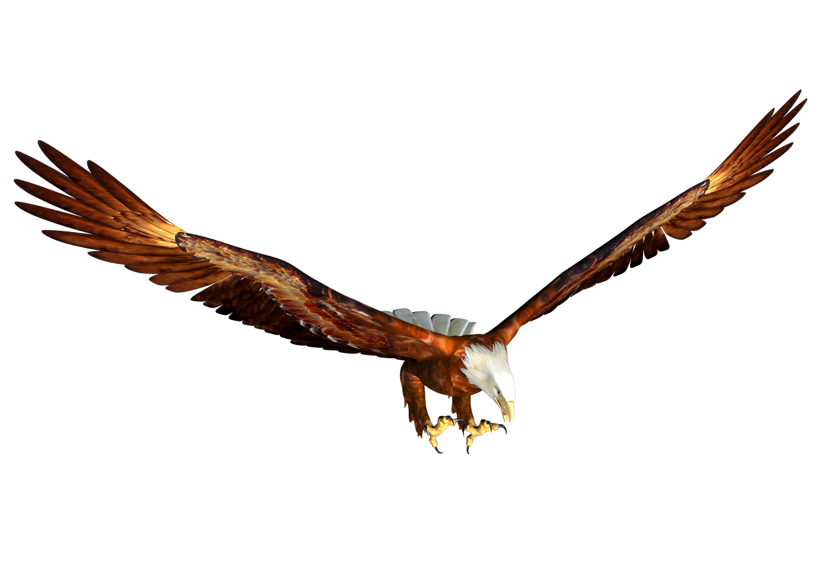 free clipart of eagle - photo #20