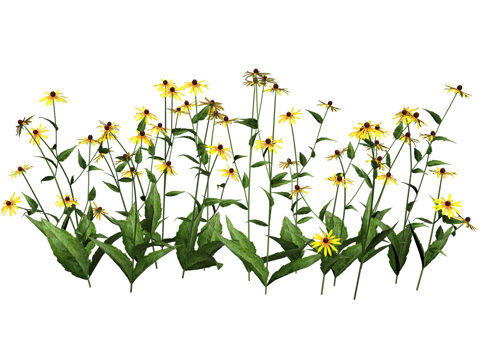 free flower clipart png - photo #28