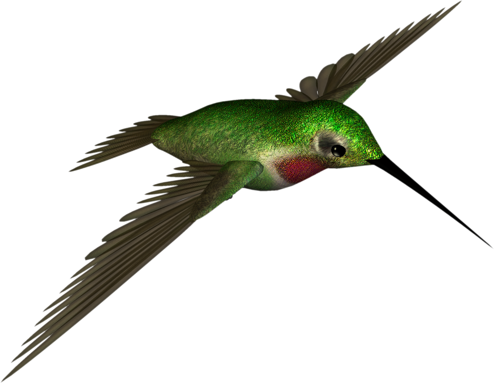 free animated hummingbird clipart - photo #13