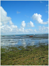 Presqu'île de Noirmoutier