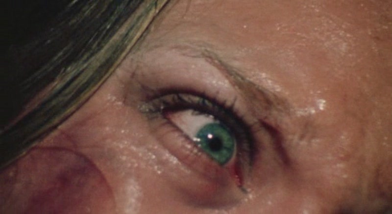 [Tehasskaya.Reznya.Benzopiloy.1974.(Rus.Eng.Rus).VideoDead.&.ShareReactor.ru[(107169)18-53-20].JPG]