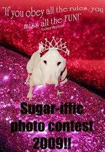 We entered the Sugarific Photo Contest