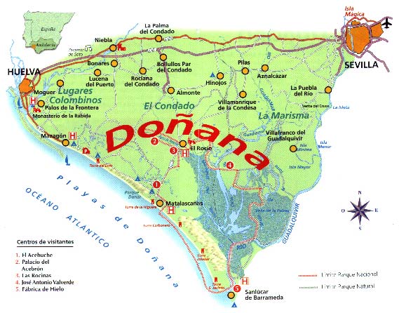 EL ACEBRON Plano De Do ana Y Su Entorno