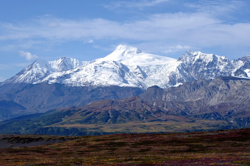 Alpine Tundra in Alaska : The Alaskan Alpine Tundra