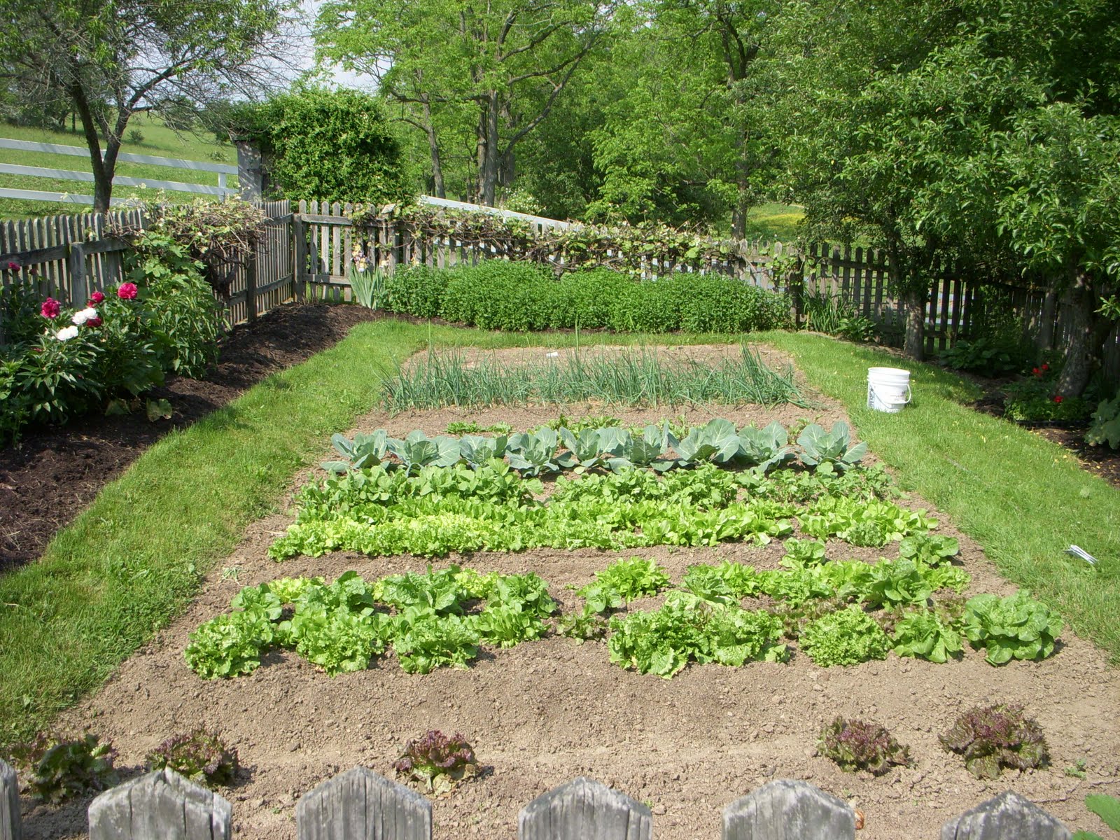 RichFam A Very Amish Day