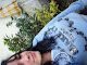 Mi foto