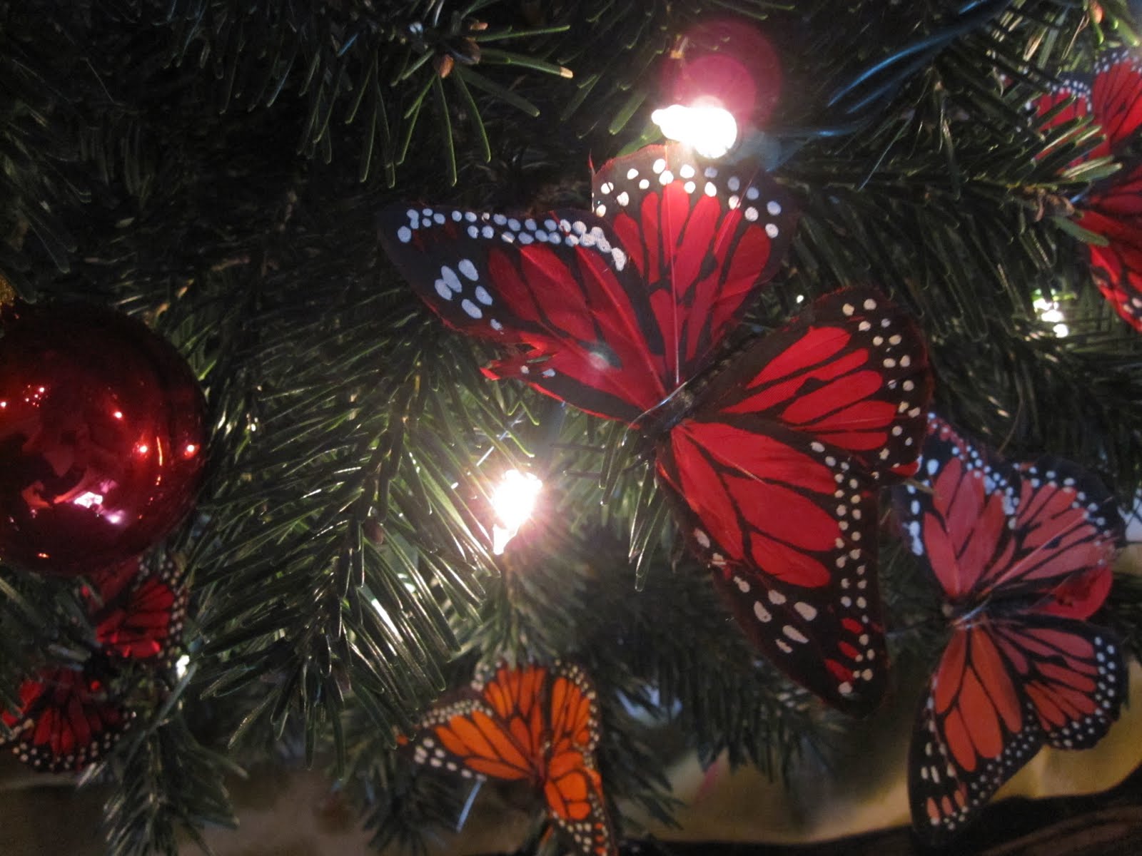 Joe Ruggiero Designer/ HGTV Host Christmas Tree for the Birds