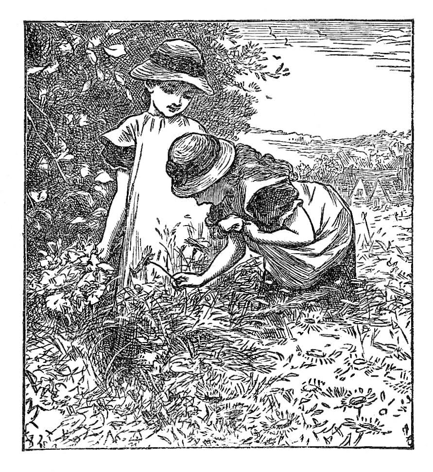 Antique Images Free Black and White Illustration Antique Illustration