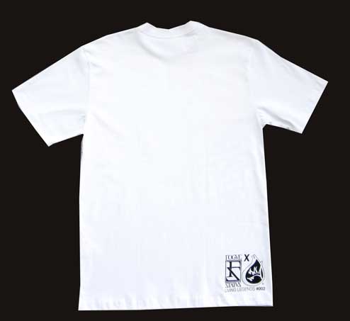 [roguestatus_insa_2.jpg]