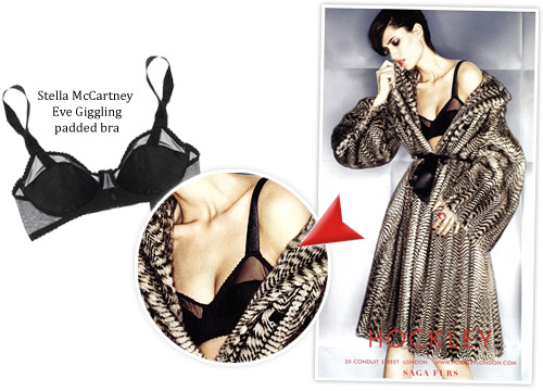 [hockley-stella-0808.jpg]