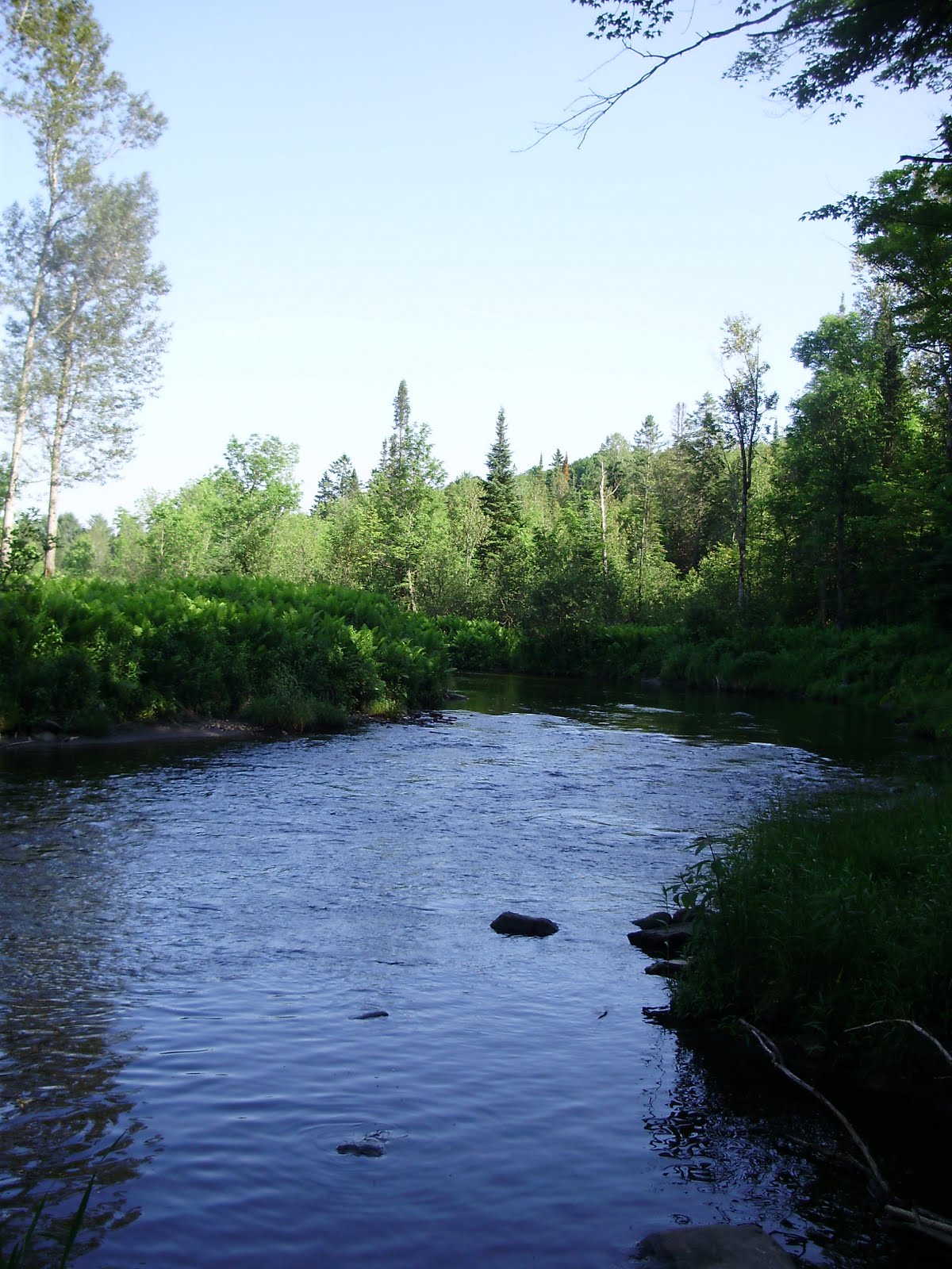 The Slippery Trout A Fly Fishing Blog Fly Fishing Vermont's Northeast