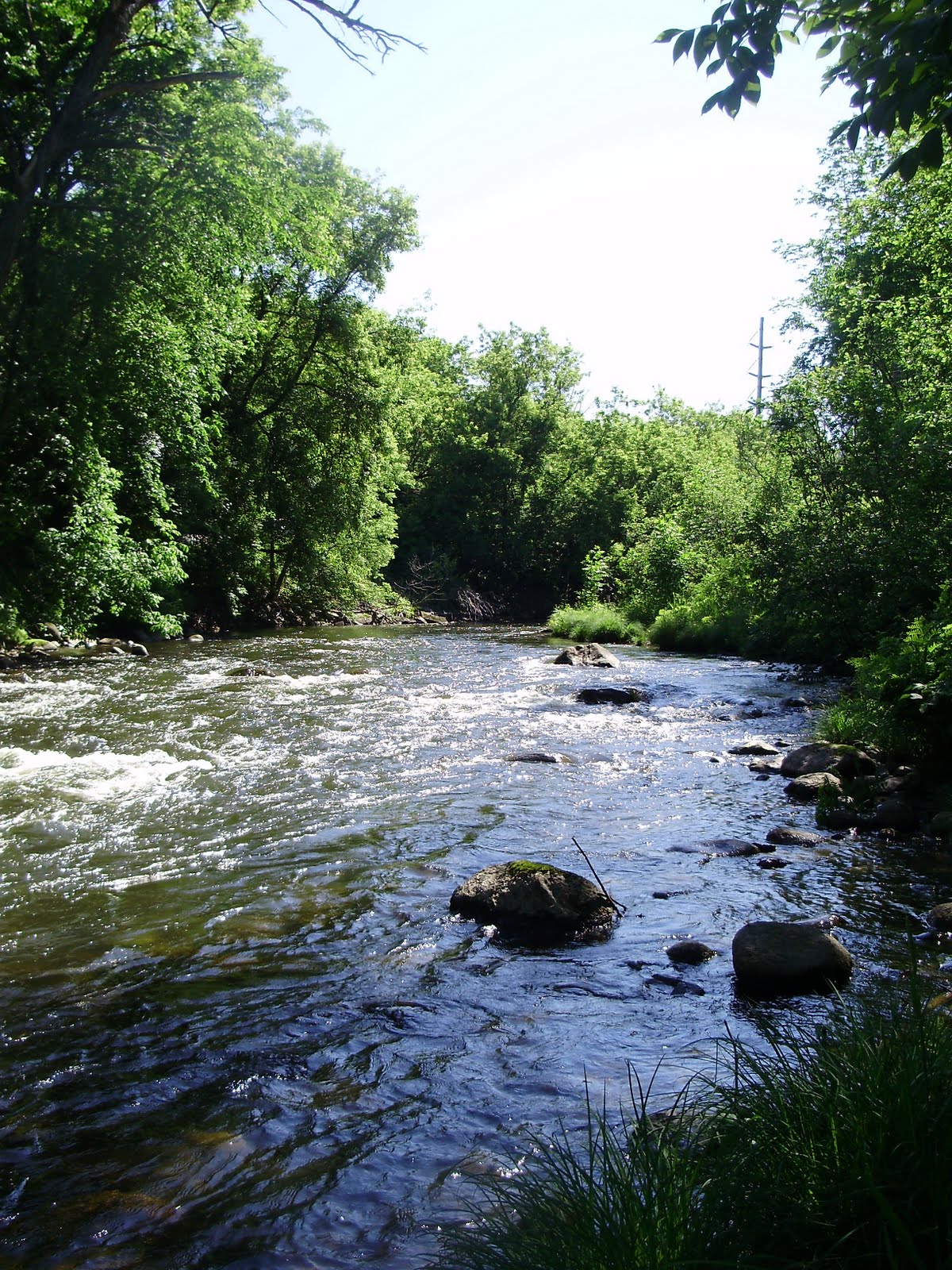 The Slippery Trout A Fly Fishing Blog Fly Fishing Vermont's Northeast