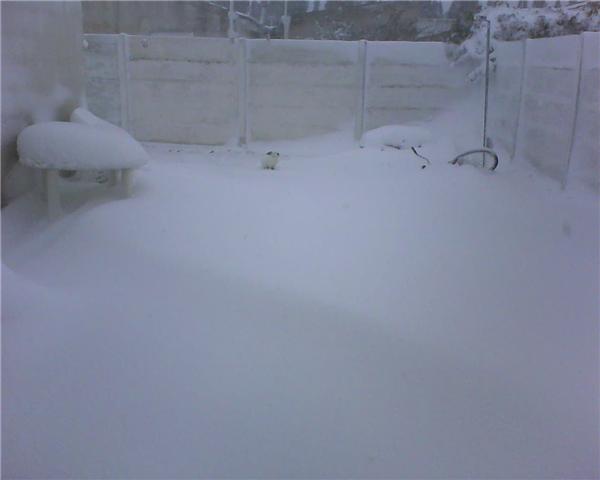 [GetAttachment.aspx.jpg]