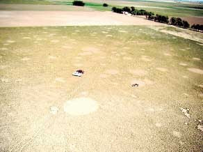 Misterio por la aparición de cien &quot;extraños&quot; círculos en un campo