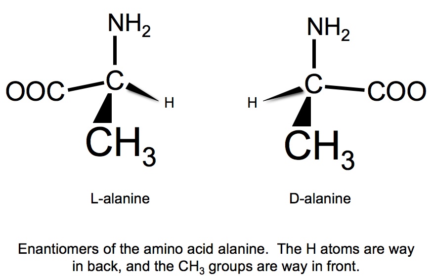 Аланин c2h5oh. Аланин. Аланин формула. L аланин и d аланин. Аланин рацемаза.