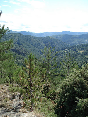 Garrigues & Maquis Cévennes & Provence SENTIER DE COUDOULOUS (Cévennes)