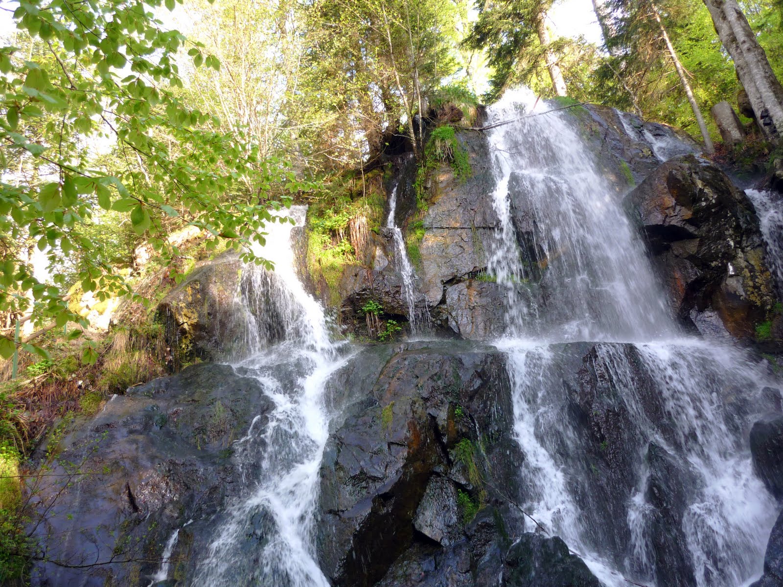émotions-nature: LA CASCADE DE L'ANDLAU au HOWALD (bas-rhin)