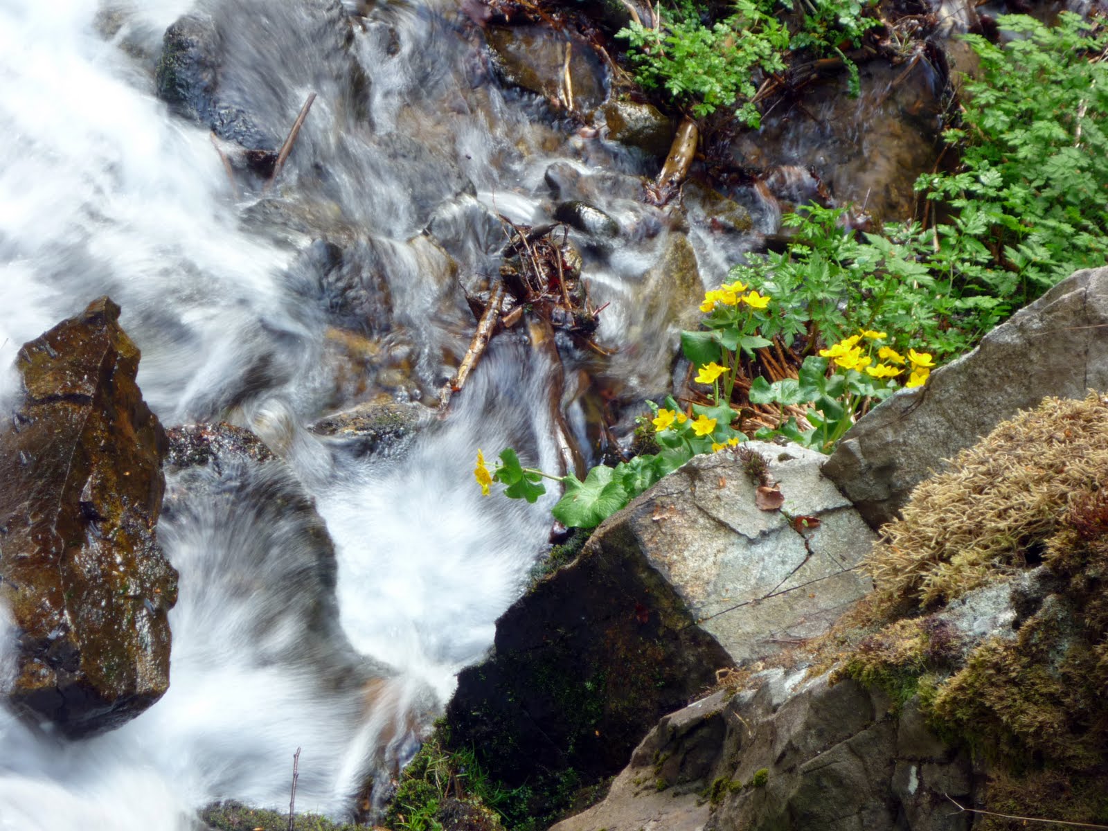 émotions-nature: LA CASCADE DE L'ANDLAU au HOWALD (bas-rhin)