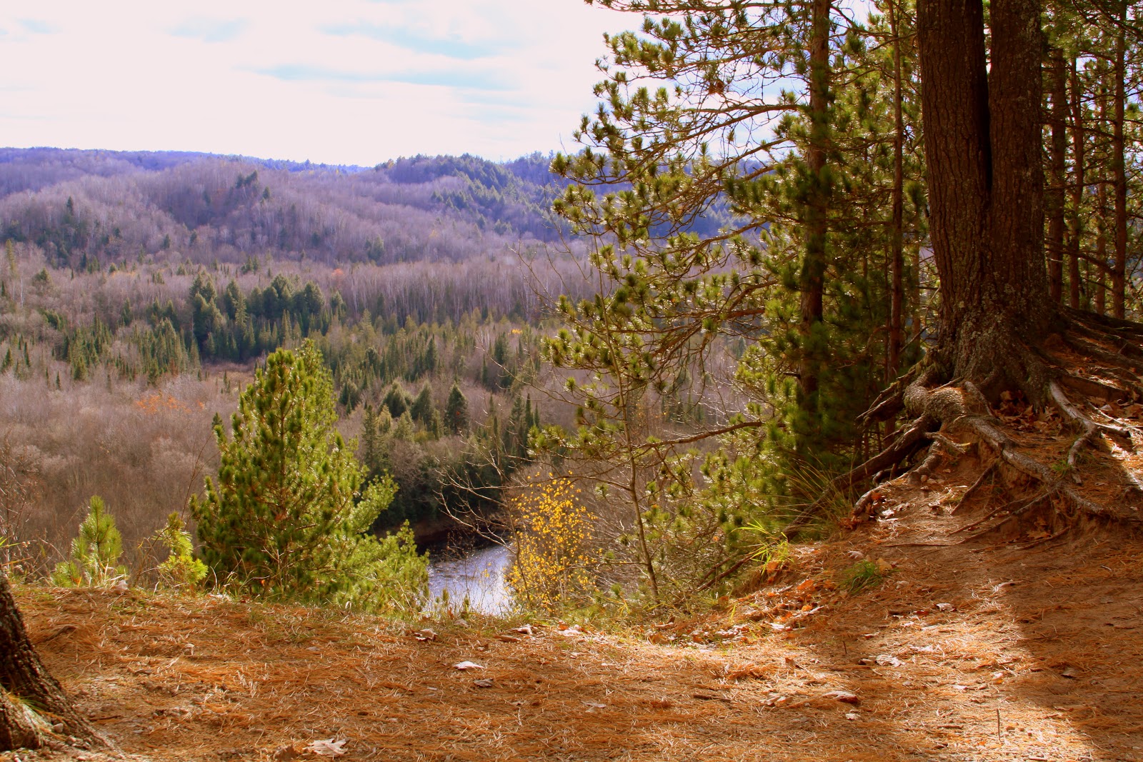The Retirement Chronicles Sturgeon River and some ducks!
