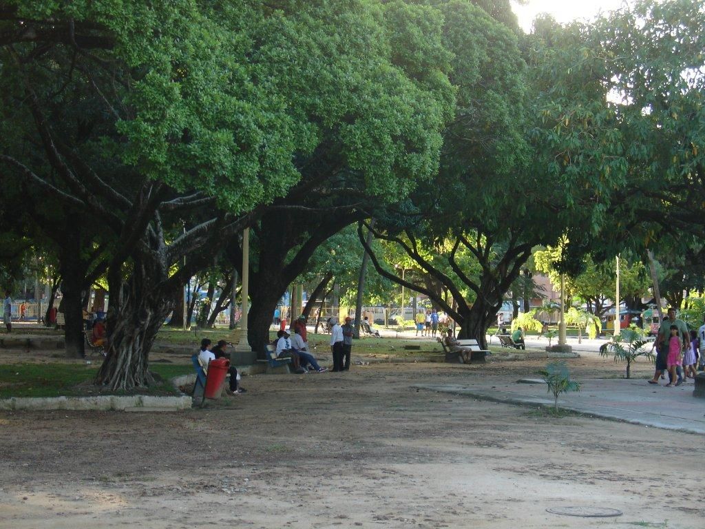Pedaços Parque 13 de Maio no Recife Pedaços Parque 13 de Maio no Recife