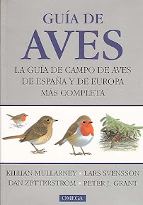 BIBLIOGRAFÍA RECOMENDADA