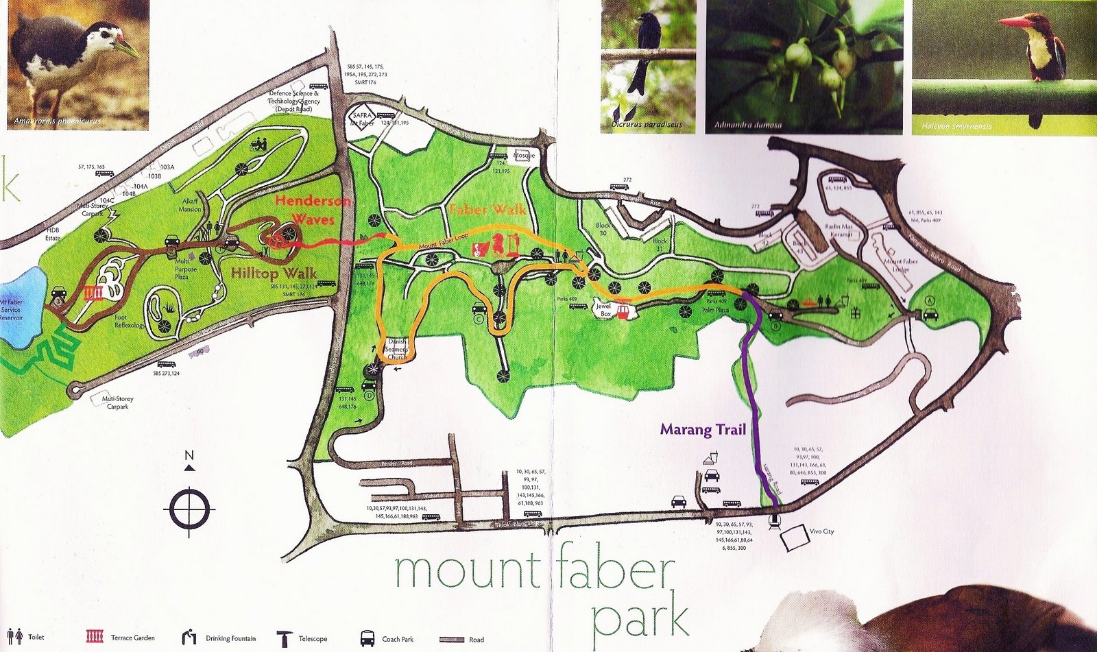 Mount Faber Map.pdf The Little Red Dot: Southern Ridges walk on 29-6-2009
