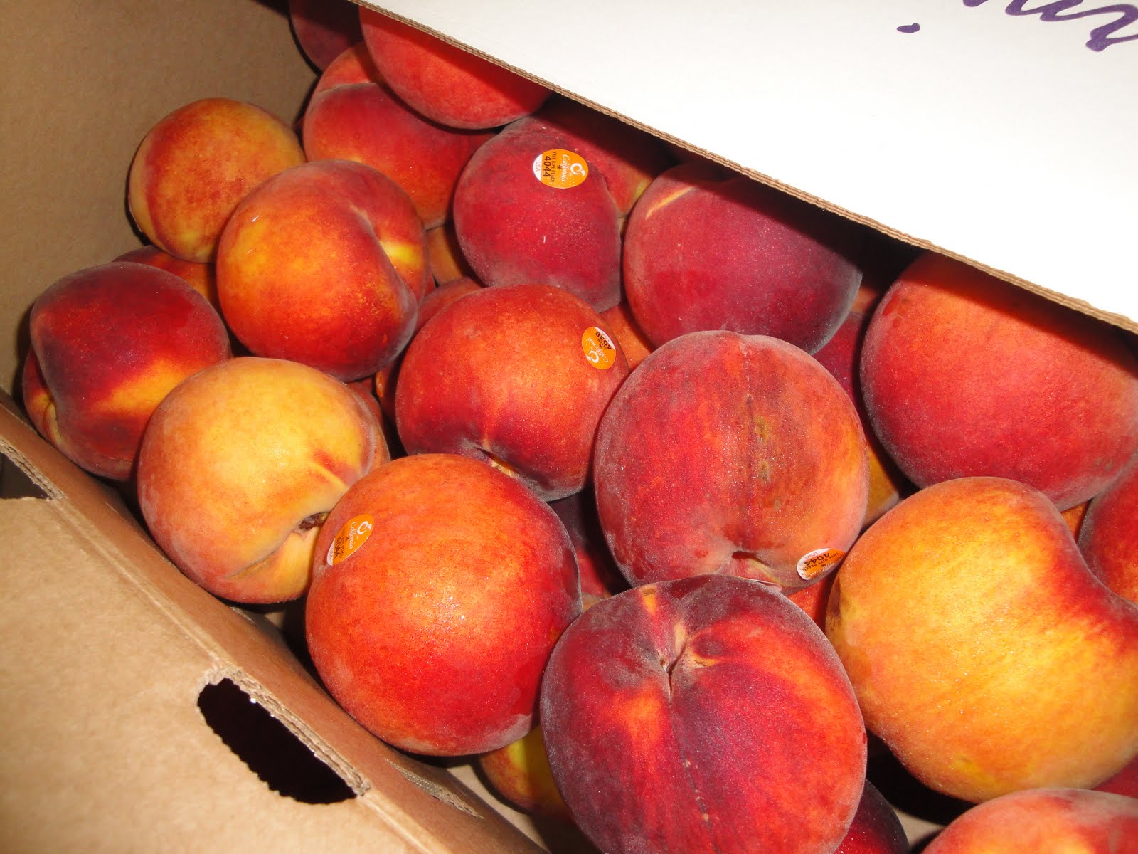 The Beaulieu Bunch September 2010