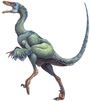 Troodon Skeleton