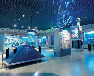 Il museo di storia naturale di Dalian