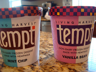 Tempt Ice Cream in Mint Chip and Vanilla Bean 