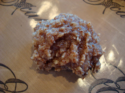 Overhead of one Vegan Coconut Banana Cookie Bite on dehydrator tray