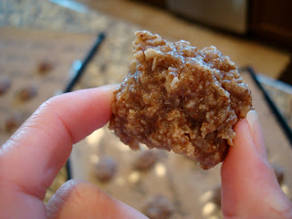 Hand holding one Vegan Coconut Banana Cookie Bite