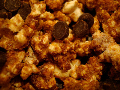 Chocolate Coconut Oil Protein Popcorn - 27