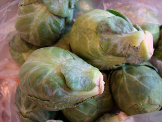 Close up of Brussel Sprouts