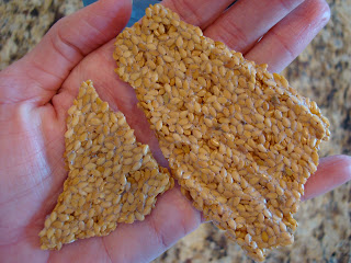 Hand holding two flaxseed crackers